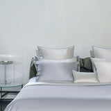 Two-Tone Moon Grey Silk Bed Set