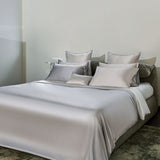 Two-Tone Moon Grey Silk Bed Set