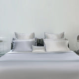 Two-Tone Moon Grey Silk Bed Set